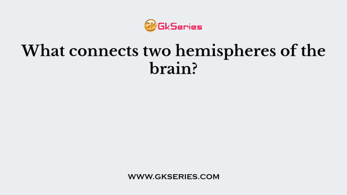 What connects two hemispheres of the brain?