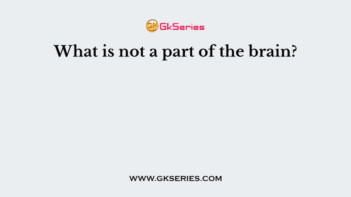 What is not a part of the brain?