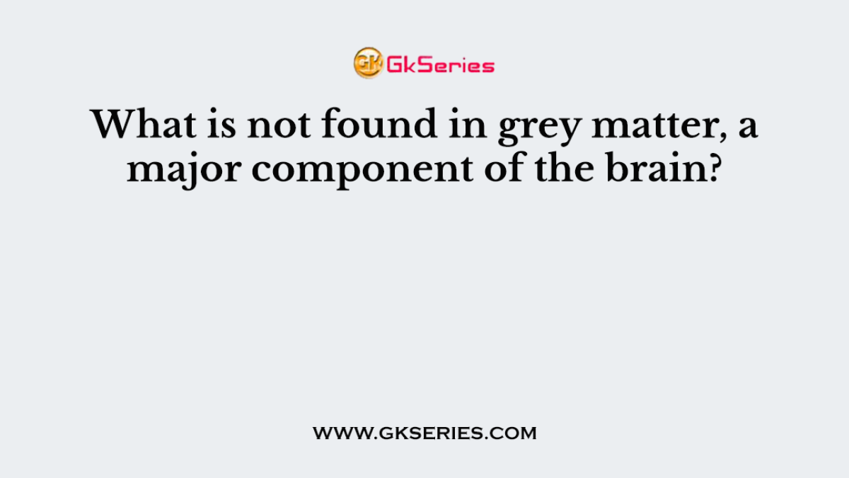 What is not found in grey matter, a major component of the brain?