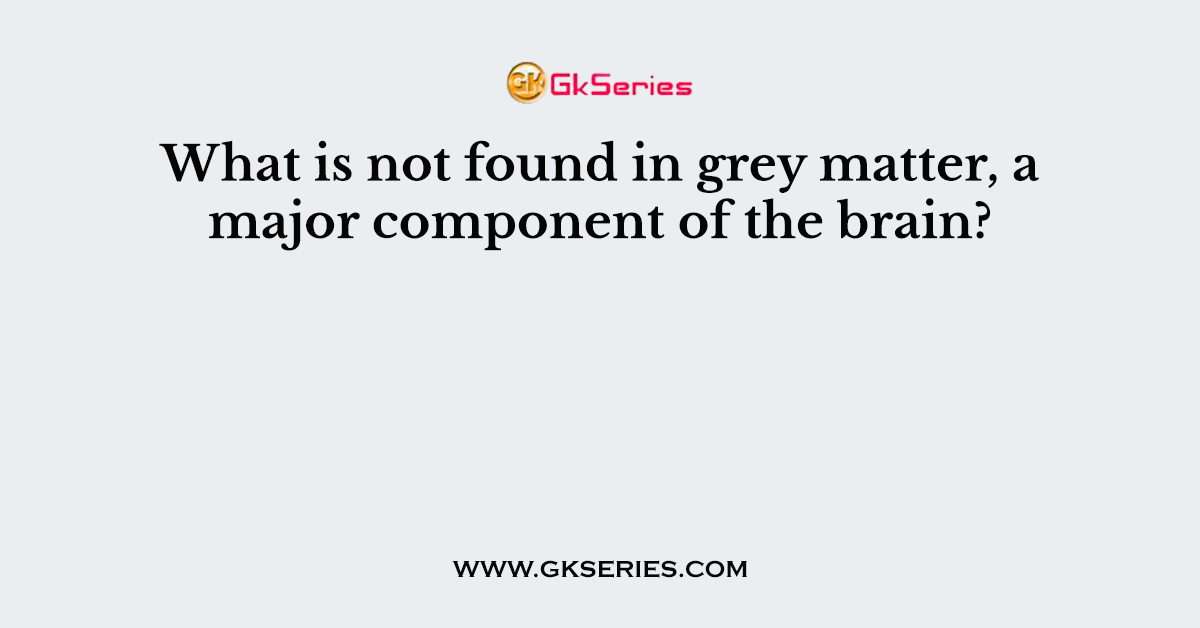 What is not found in grey matter, a major component of the brain?