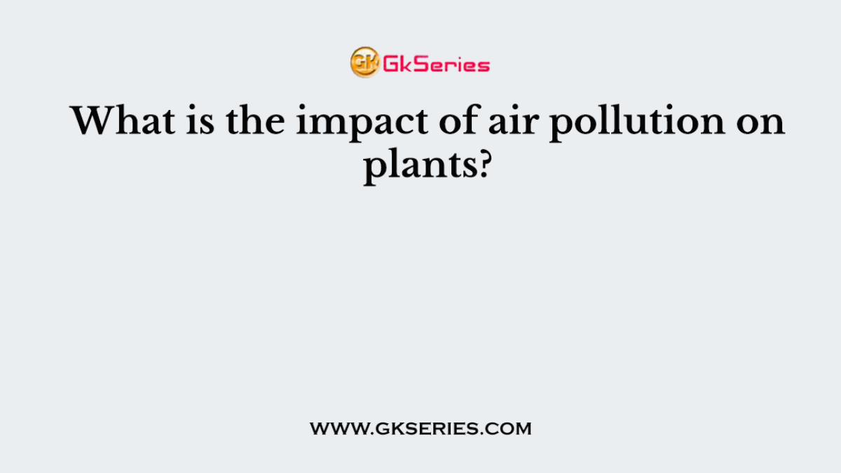 What is the impact of air pollution on plants?