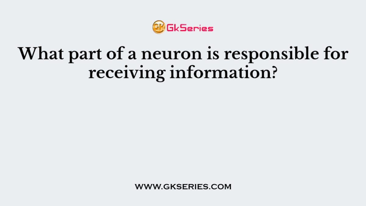 What part of a neuron is responsible for receiving information?