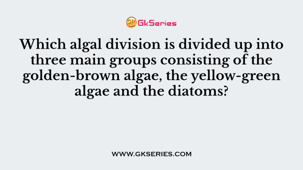Which algal division is divided up into three main groups consisting of the golden-brown algae, the yellow-green algae and the diatoms?