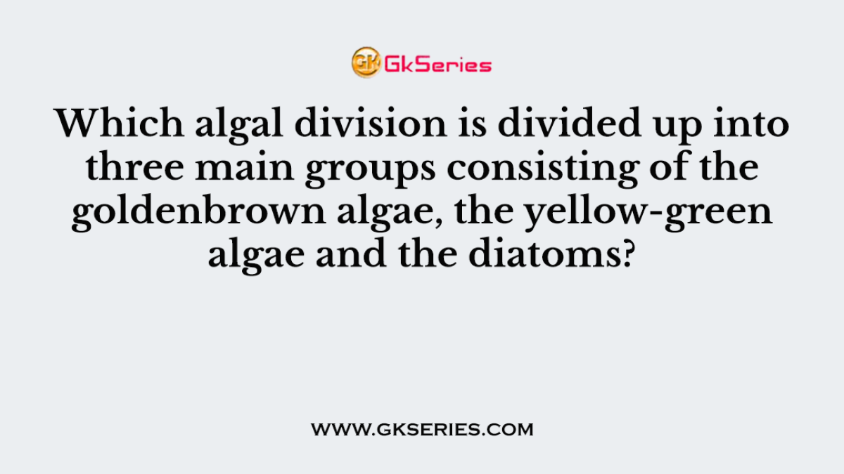 Which algal division is divided up into three main groups consisting of the goldenbrown algae, the yellow-green algae and the diatoms?