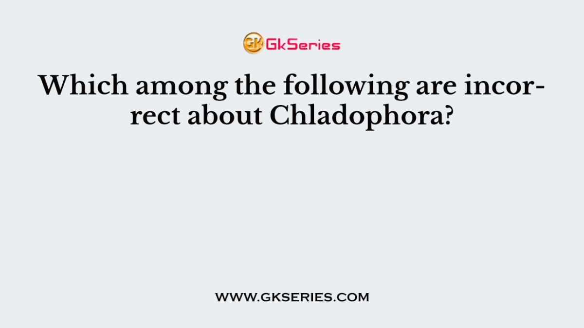 Which among the following are incorrect about Chladophora?