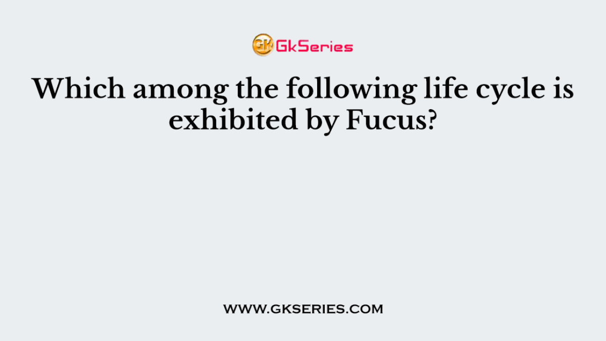 Which among the following life cycle is exhibited by Fucus?