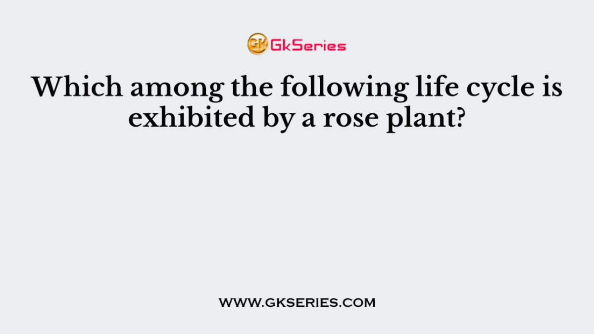 Which among the following life cycle is exhibited by a rose plant?