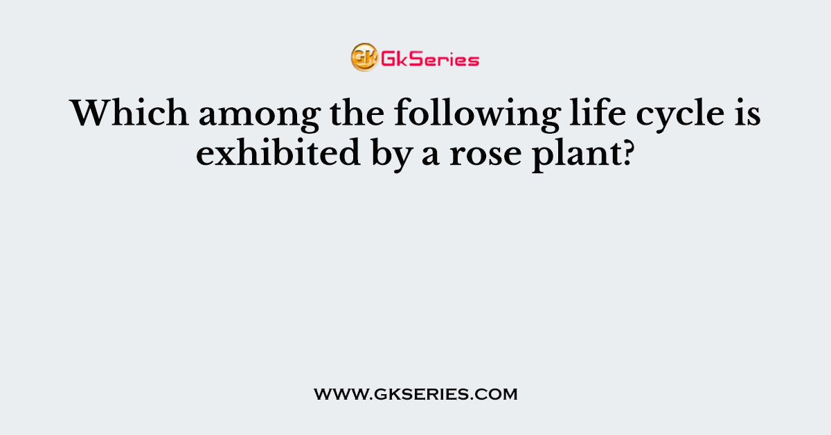 Which among the following life cycle is exhibited by a rose plant?