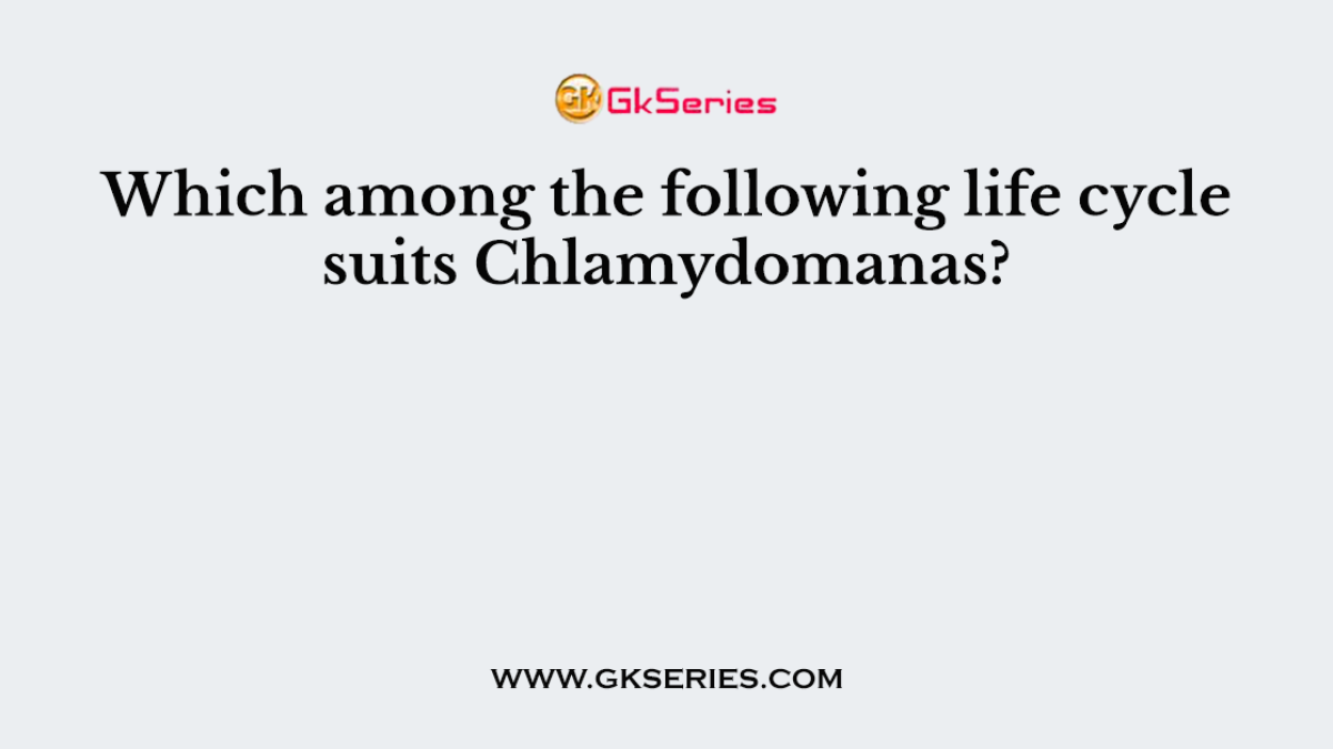Which among the following life cycle suits Chlamydomanas?
