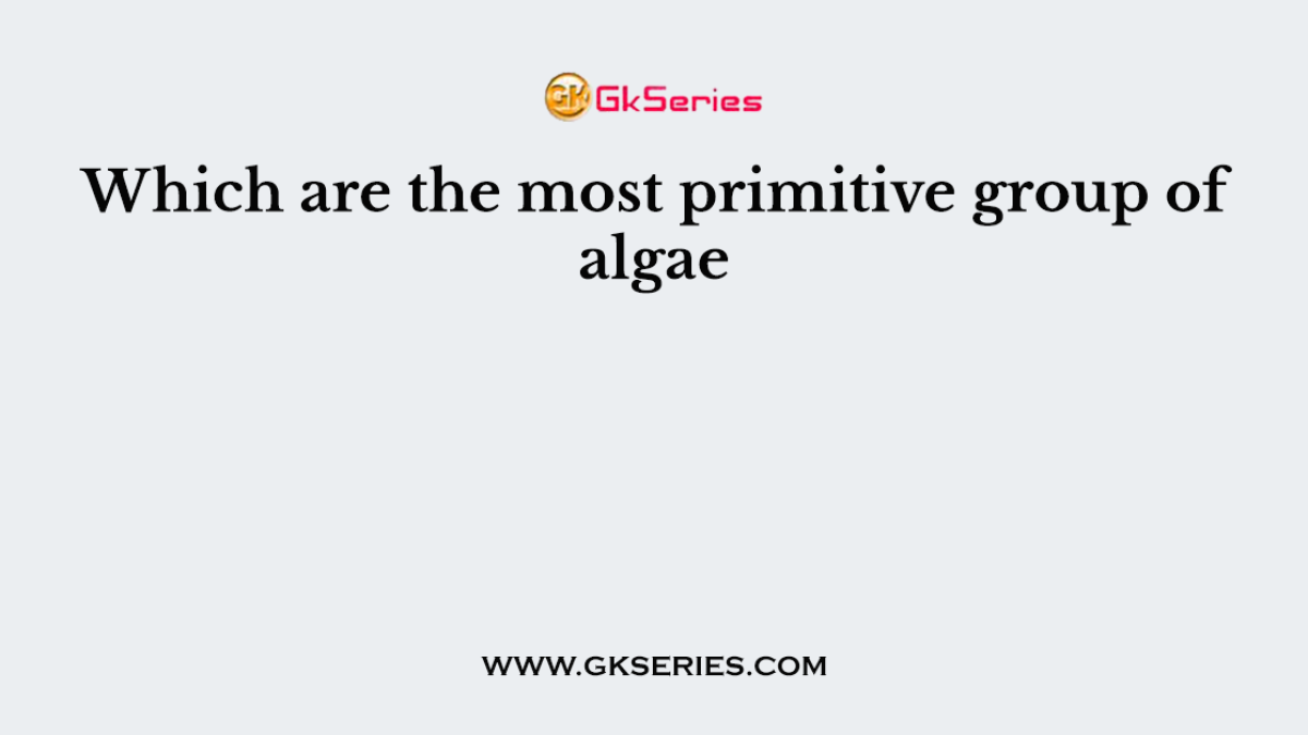 Which are the most primitive group of algae
