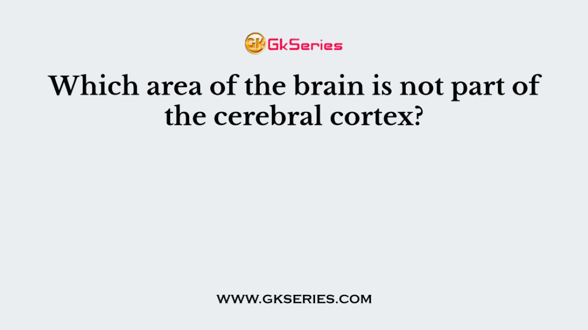 Which area of the brain is not part of the cerebral cortex?