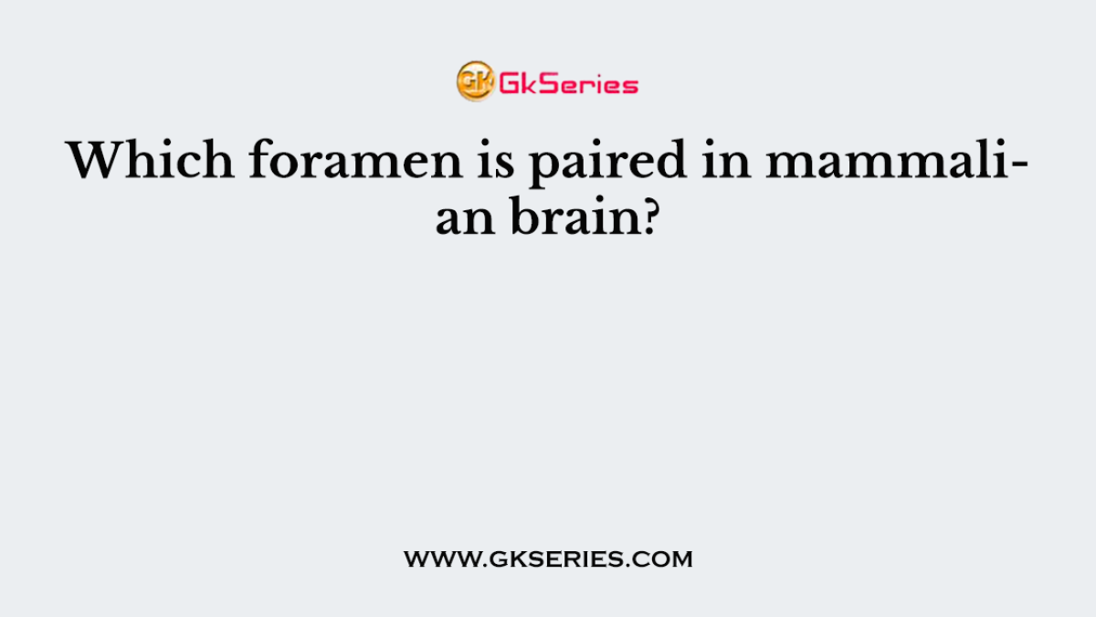 Which foramen is paired in mammalian brain?