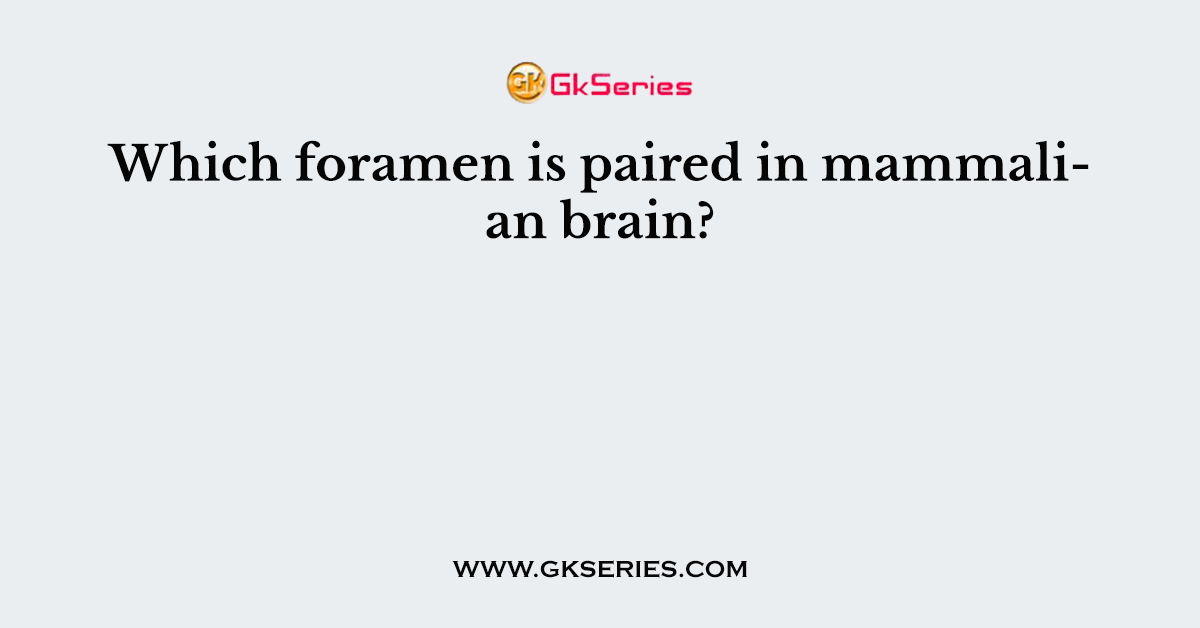 Which foramen is paired in mammalian brain?