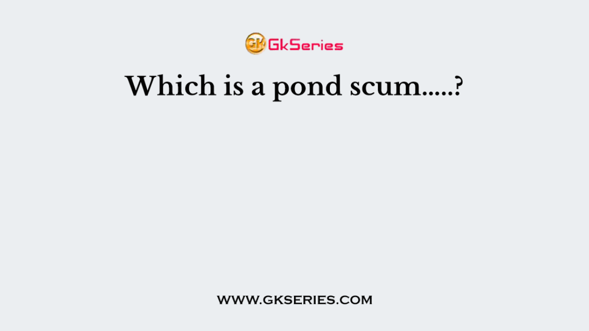 Which is a pond scum…..?