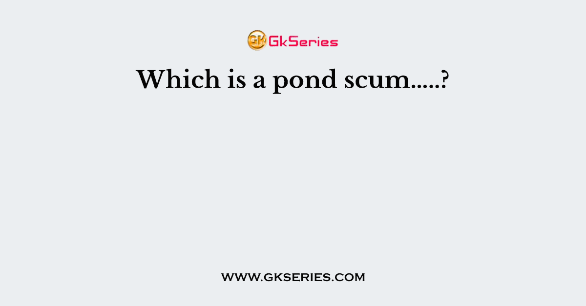 Which is a pond scum…..?