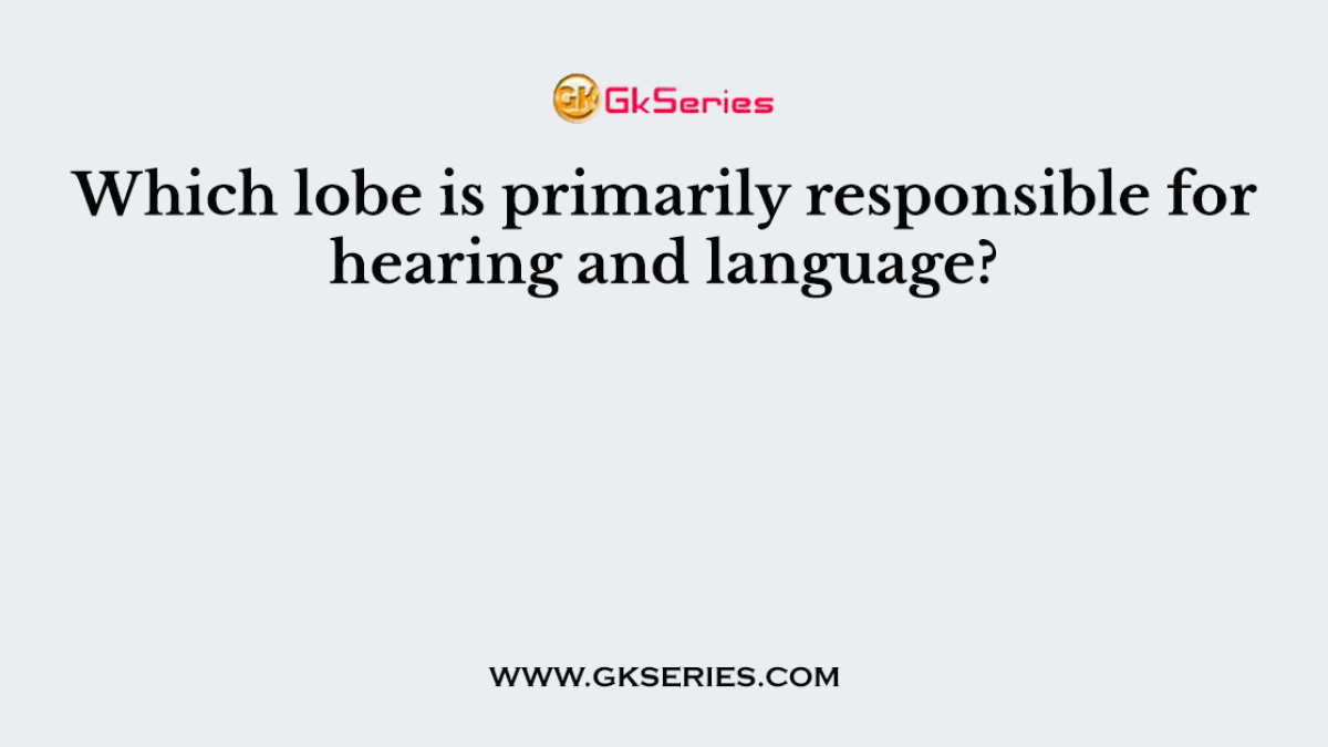 Which lobe is primarily responsible for hearing and language?