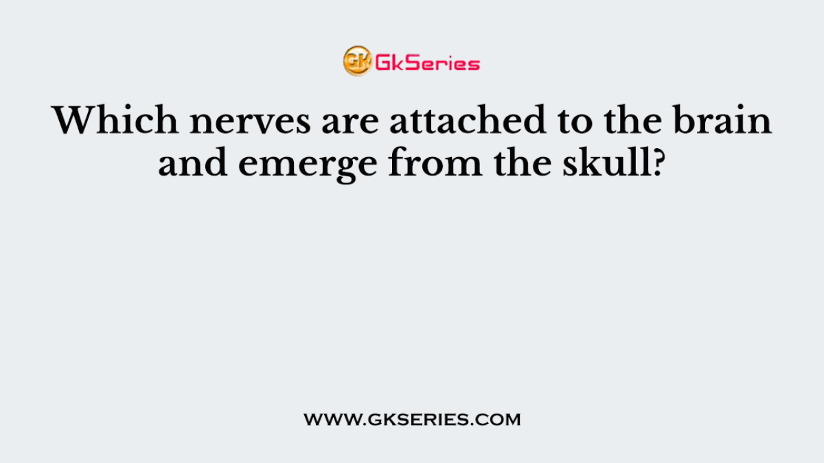 Which nerves are attached to the brain and emerge from the skull?