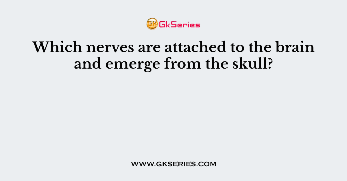 Which nerves are attached to the brain and emerge from the skull?