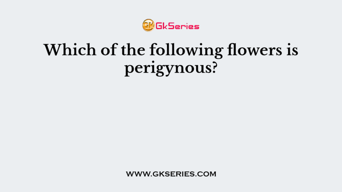 Which of the following flowers is perigynous?