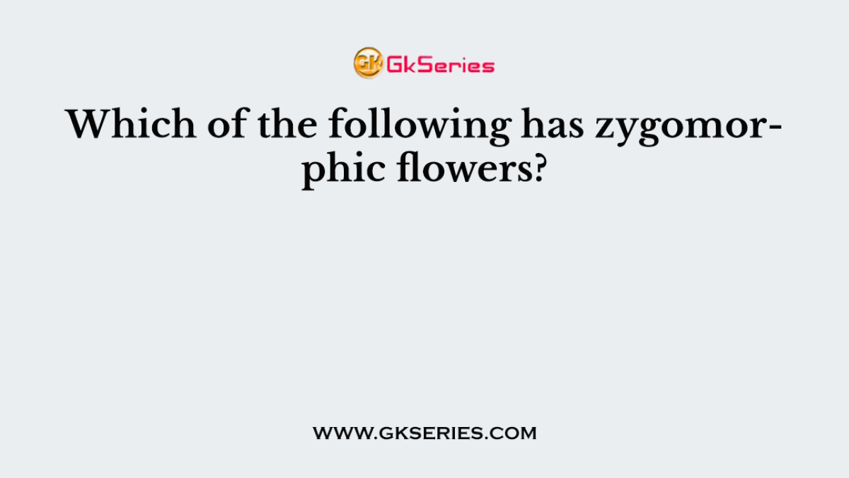 Which of the following has zygomorphic flowers?