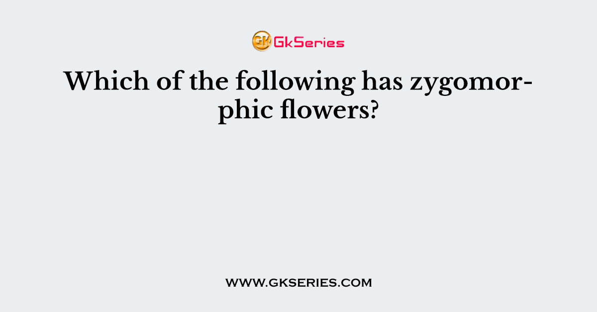 Which of the following has zygomorphic flowers?