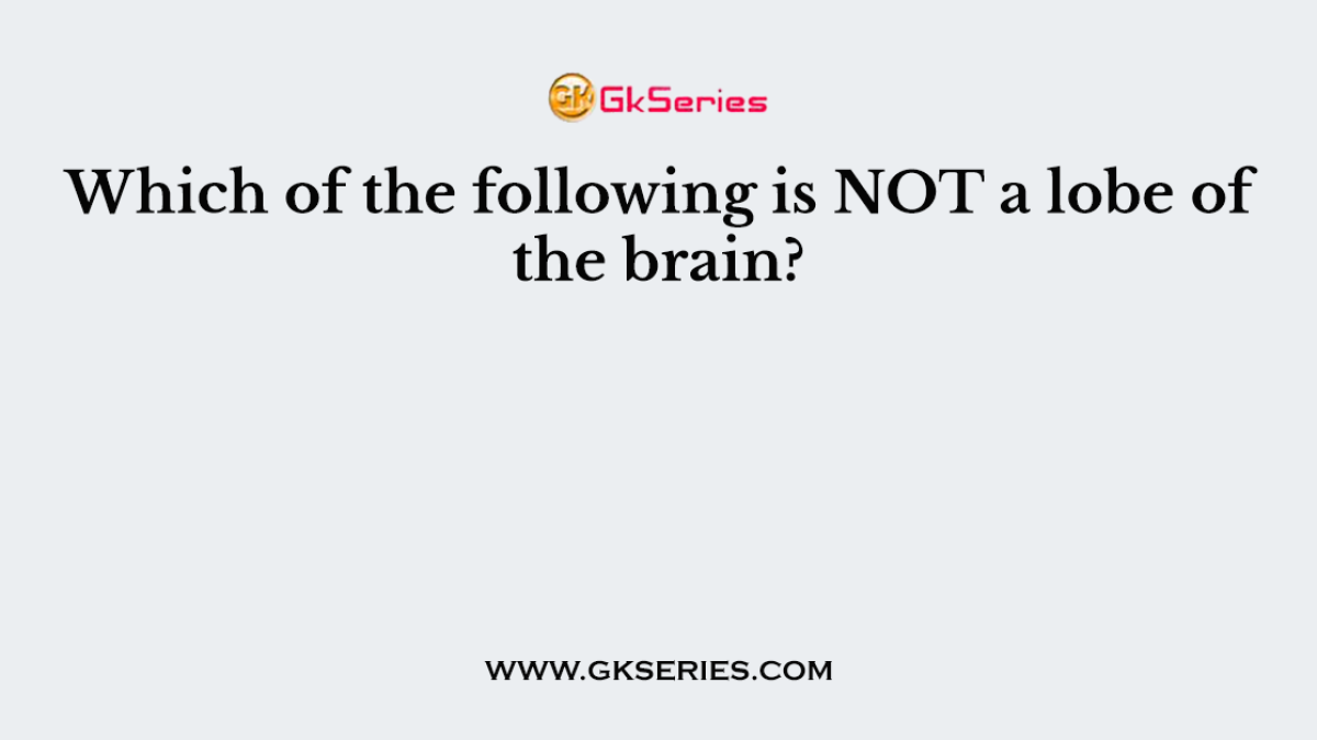 Which of the following is NOT a lobe of the brain?