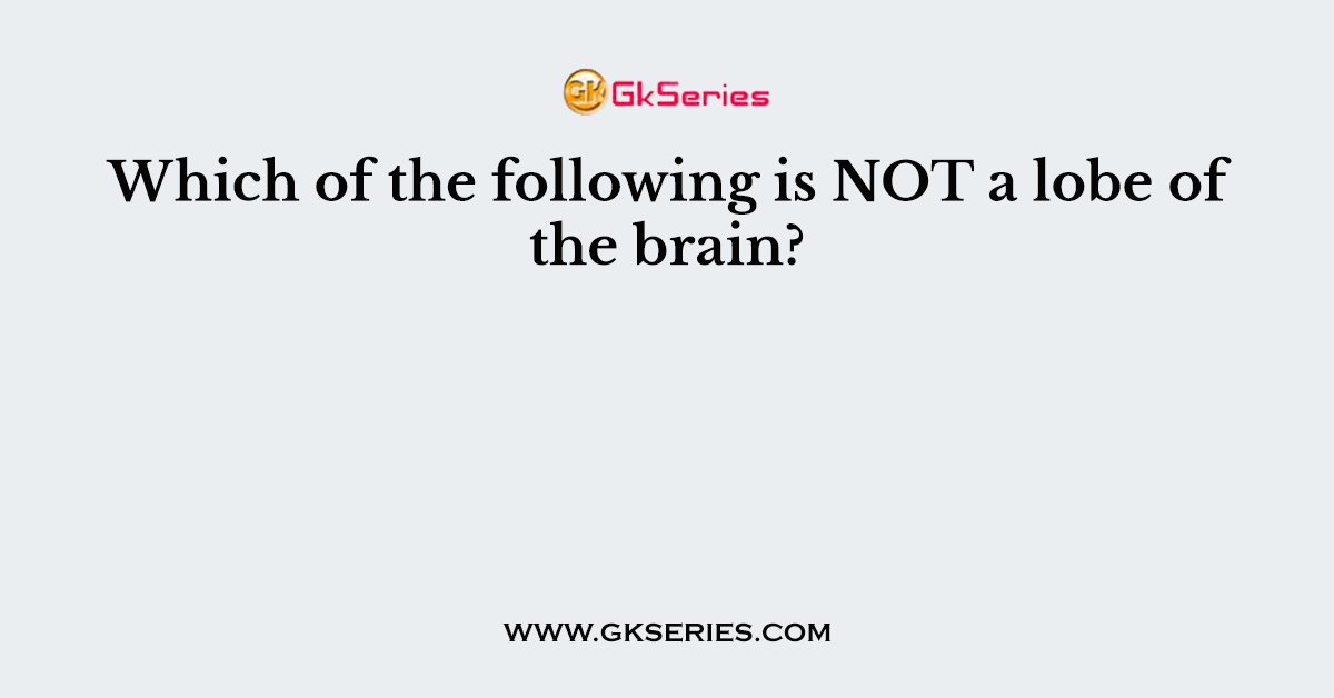 Which of the following is NOT a lobe of the brain?
