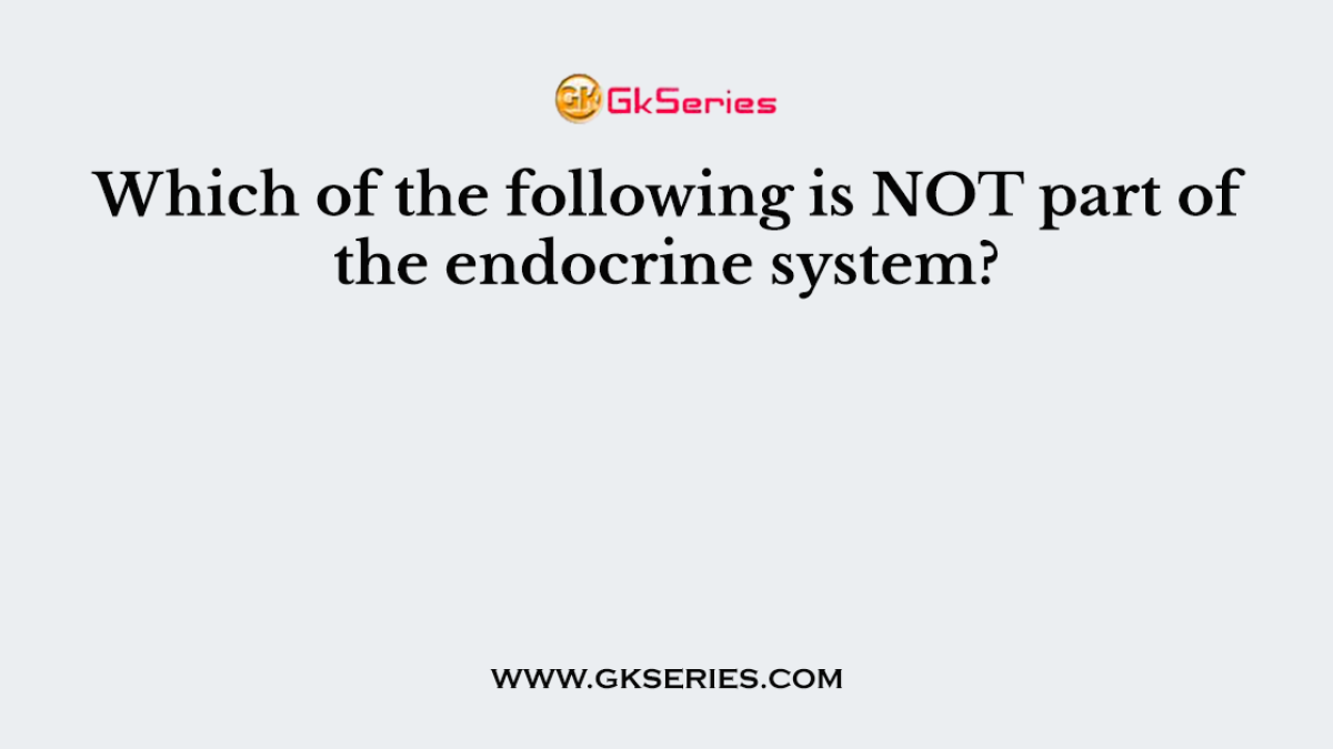 Which of the following is NOT part of the endocrine system?