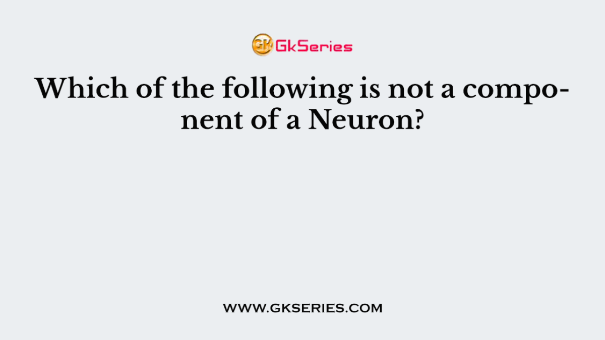 Which of the following is not a component of a Neuron?