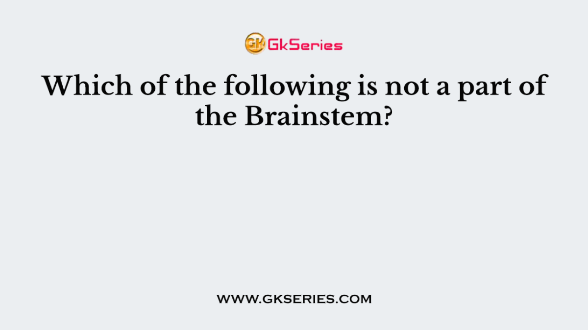 Which of the following is not a part of the Brainstem?