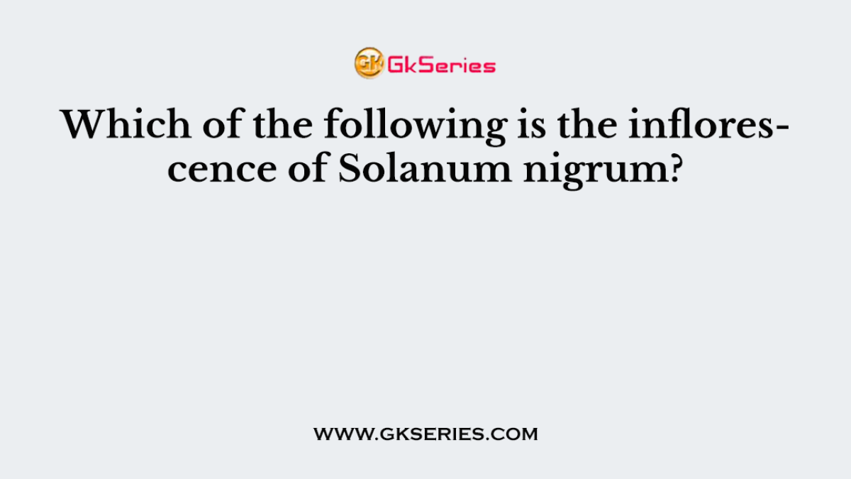 Which of the following is the inflorescence of Solanum nigrum?