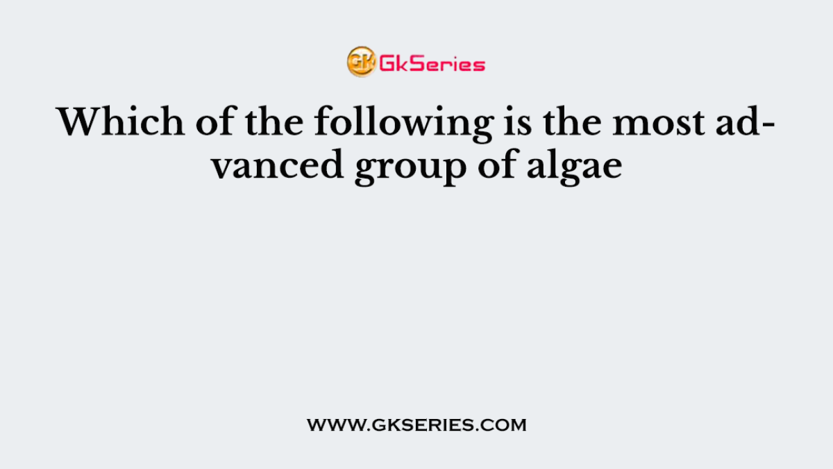 Which of the following is the most advanced group of algae