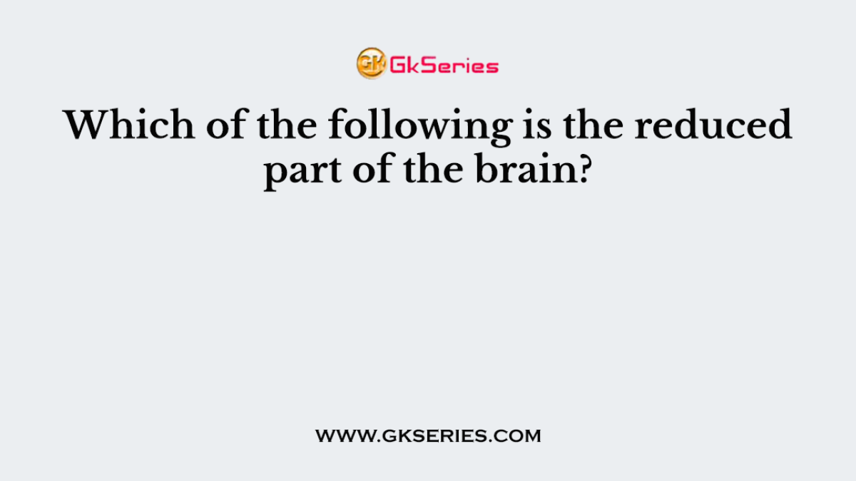 Which of the following is the reduced part of the brain?