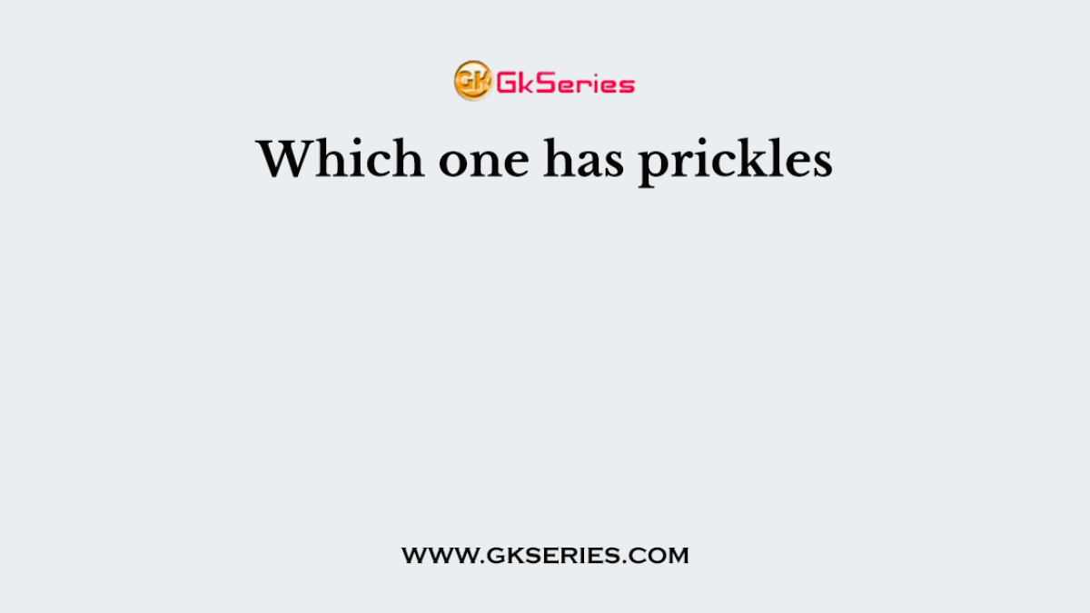 Which one has prickles