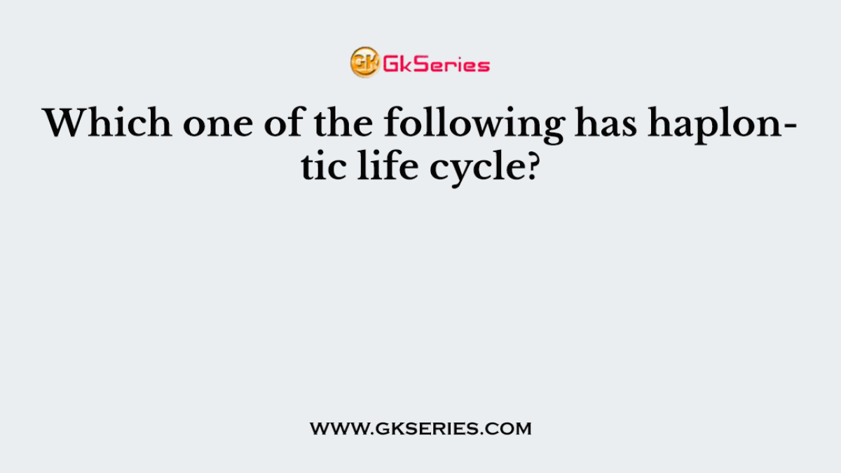 Which one of the following has haplontic life cycle?