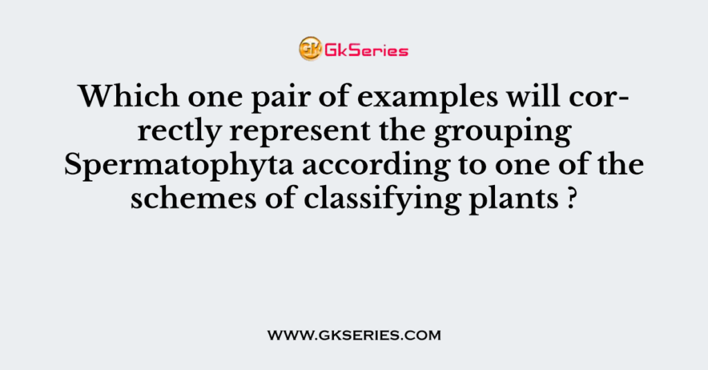 Which one pair of examples will correctly represent the grouping Spermatophyta according to one of the schemes of classifying plants ?