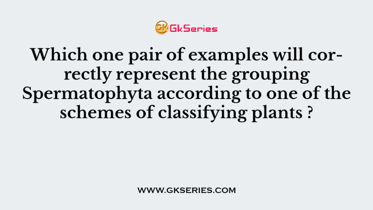 Which one pair of examples will correctly represent the grouping Spermatophyta according to one of the schemes of classifying plants ?
