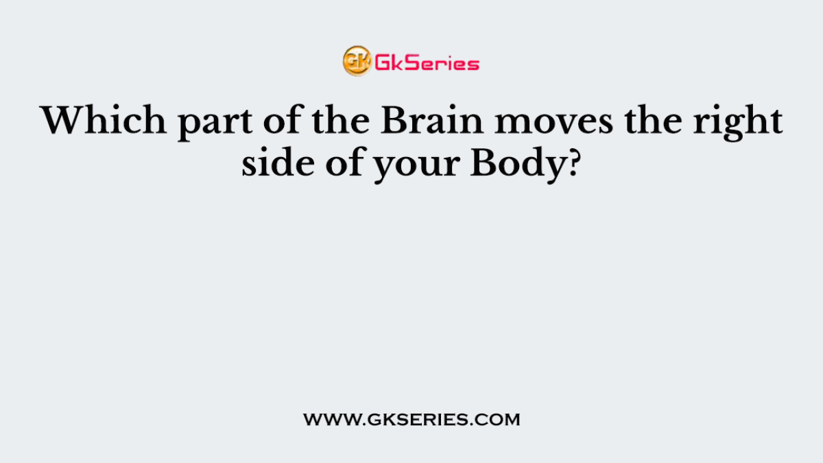 Which part of the Brain moves the right side of your Body?