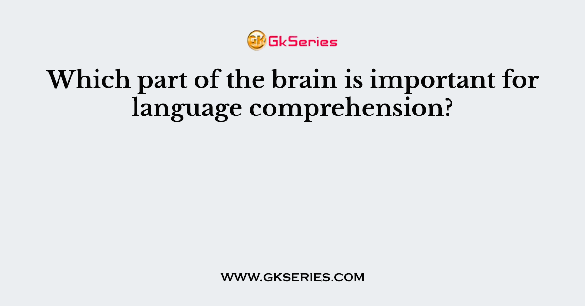 Which part of the brain is important for language comprehension?