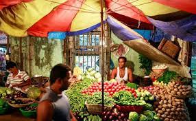 Wholesale inflation surges to 14.23% in November