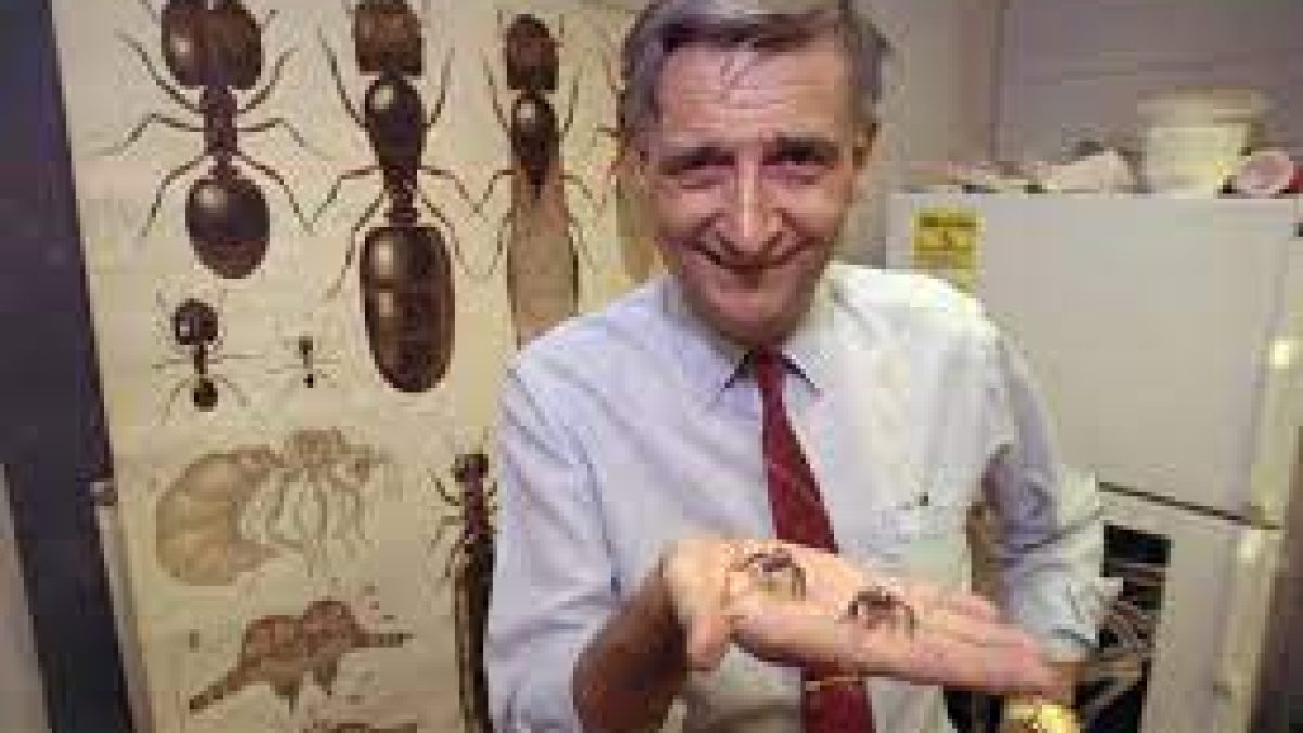 E.O. Wilson, Known as ‘Father of Biodiversity,’ passes away