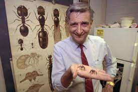 E.O. Wilson, Known as ‘Father of Biodiversity,’ passes away