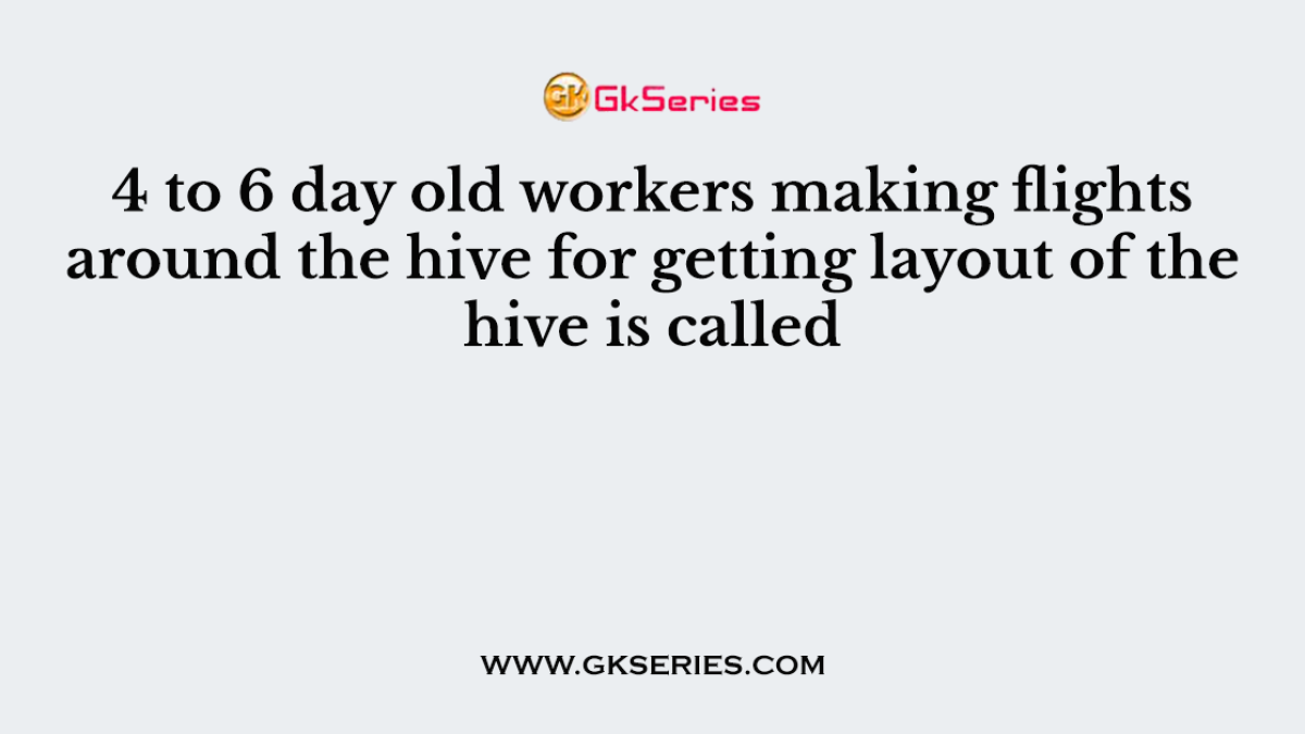 4 to 6 day old workers making flights around the hive for getting layout of the hive is called