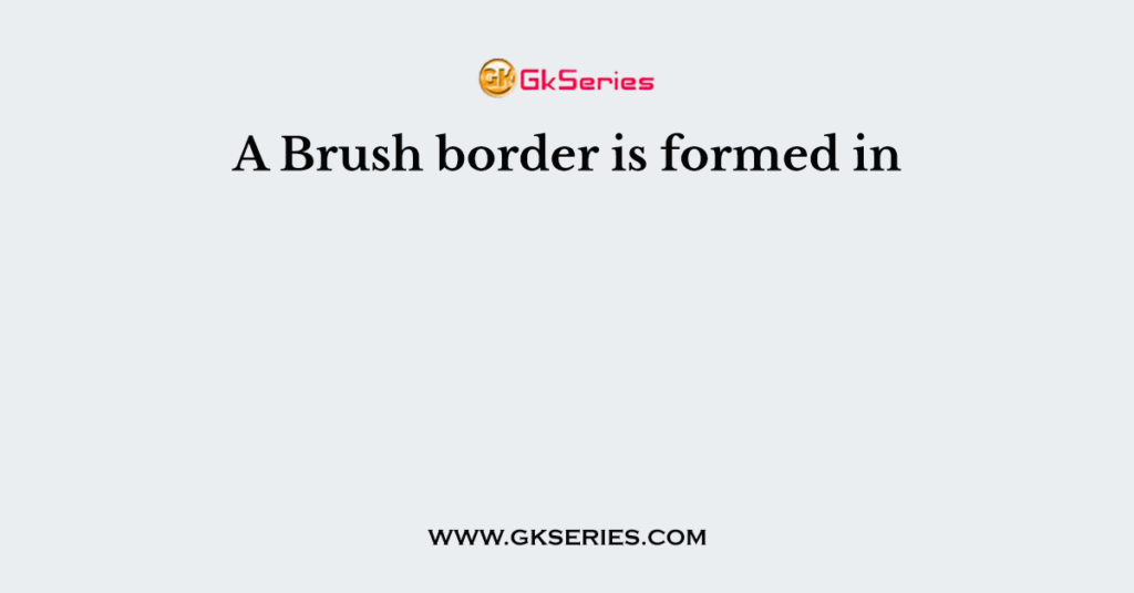A Brush border is formed in