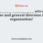 A ________ _________ sets out the purpose and general direction for the organisation?