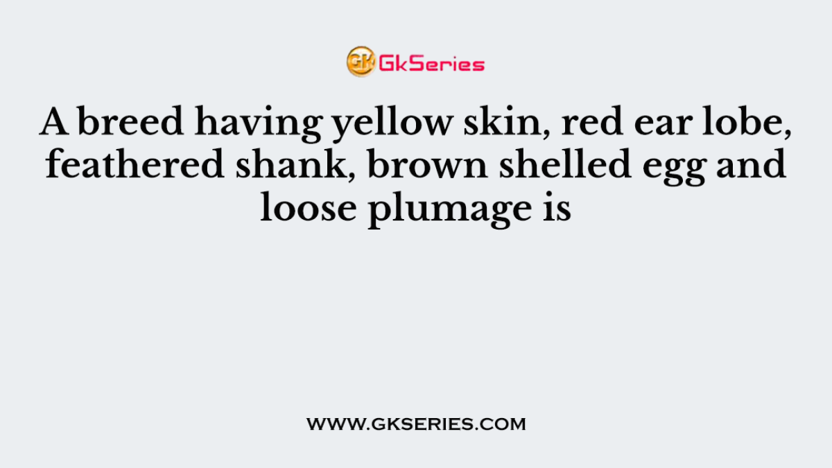 A breed having yellow skin, red ear lobe, feathered shank, brown shelled egg and loose plumage is