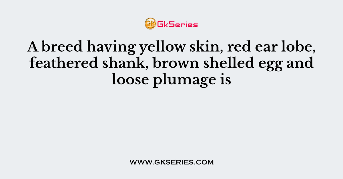 A breed having yellow skin, red ear lobe, feathered shank, brown shelled egg and loose plumage is