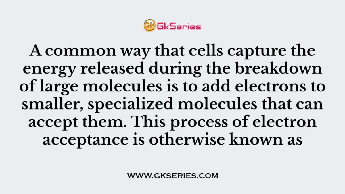 A common way that cells capture the energy released during the breakdown of large molecules is to add electrons to smaller, specialized molecules that can accept them. This process of electron acceptance is otherwise known as