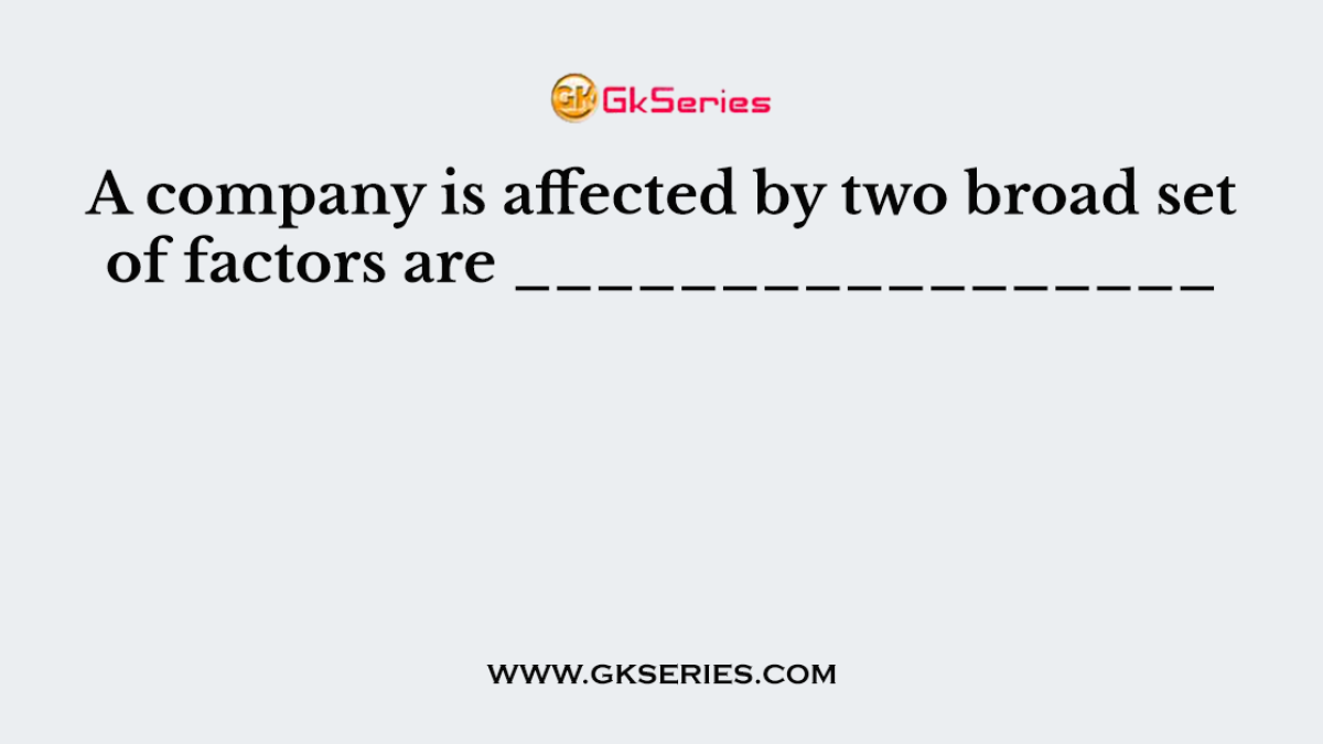 A company is affected by two broad set of factors are _________________