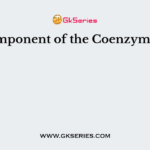 A component of the Coenzyme A is
